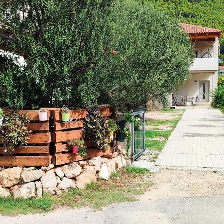 Apartmani Maslina Žuljana 외부 사진