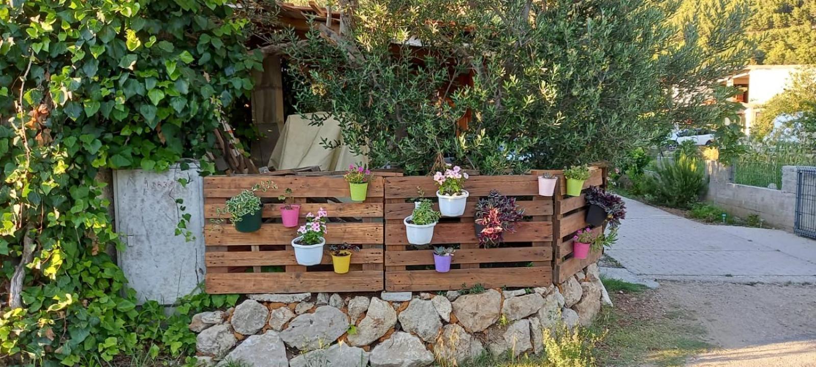 Apartmani Maslina Žuljana 외부 사진